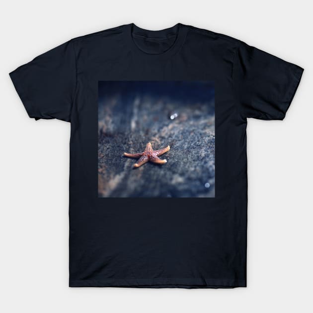 Beautiful Starfish T-Shirt by StylishPrinting